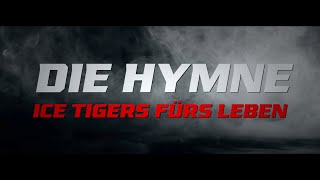 Teaser quotIce Tigers fürs Lebenquot – Hymne jetzt verfügbar [upl. by Ollehto161]