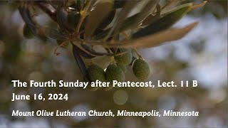 Worship The Fourth Sunday after Pentecost Lect 11 B  61624 [upl. by Cirde530]