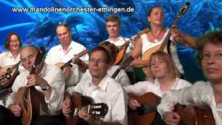 Earth Song Michael Jackson Mandolin Orchestra Zupforchester Cover [upl. by Larok]