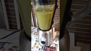 Dare Learning My Amazing Secret Blender Silvercrest Mixer Apple Céleri Delicious Fast Easy blender [upl. by Nnylanna]