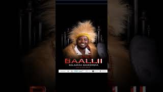 GALAANAA GAAROMSAA NEW Full ALBUM new oromo music 2019 [upl. by Ayela]