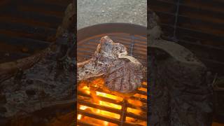 🥩Porterhouse Steak nature grill and sunset what could be better🤔 steak meat grill cooking [upl. by Autrey]