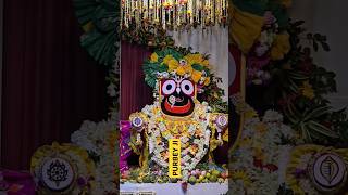 एक तेरे भरोसे बैठे हैं सब हार के jaijagannath shorts shortsfeed viral 301 viralvideos madhoo [upl. by Ativ890]