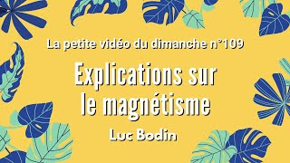 EXPLICATIONS SUR LE MAGNÉTISME  La petite vidéo du dimanche n°109 [upl. by Divadnhoj]