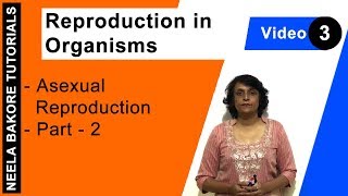 Reproduction in Organisms  NEET  Asexual Reproduction  Part 2  Neela Bakore Tutorials [upl. by Iaw]