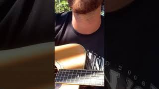 gravediggers blues acousticguitar fingerstyle [upl. by Schou221]