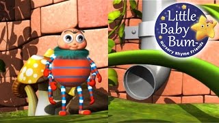 Incy Wincy Spider  LittleBabyBum  Nursery Rhymes for Babies ABCs and 123s  LBB [upl. by Lleon874]