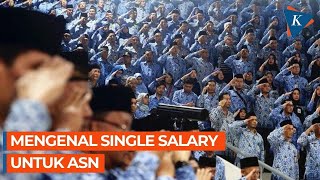 Single Salary Sistem Gaji Baru untuk ASN pada 2024 [upl. by Hacim]