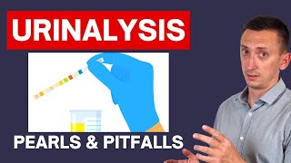 Urinalysis Interpretation in Urinary Tract Infections UTIs [upl. by Ocinom]