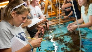 UNH Marine Biology Bootcamp [upl. by Alane733]