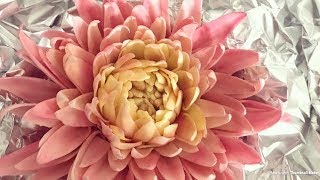 CAKE NATION  How To Create A Dahlia Using Sugar Paste Fondant Flower [upl. by Harbert]