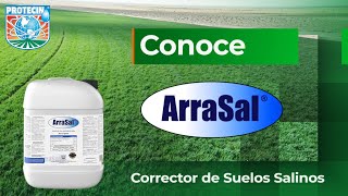 Arrasal Corrector de Suelos Salinos  Protecin [upl. by Fidel]