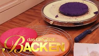 Das große Backen 2014  Backt euren Lieblingskuchen  Teil 1 [upl. by Anertac]