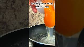 Cracking Open Giant Egg shorts [upl. by Bum]