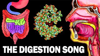 THE DIGESTIVE SYSTEM SONG [upl. by Goldenberg]