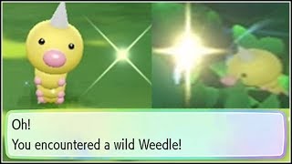 SHINY WEEDLE Pokemon Lets Go Pikachu and Eevee NO CHAIN [upl. by Lal872]