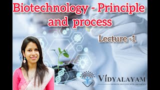 Vectors  Plasmid  Biotechnology  Principle and Processes  NEET  CBSE [upl. by Lanni]