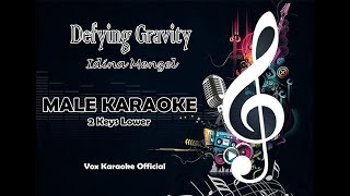 DEFYING GRAVITY  IDINA MENZEL  MALE KARAOKE  2 KEY LOWER [upl. by Wadesworth]