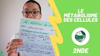 Le métabolisme des cellules  2nde  Madame SVT [upl. by Amikahs]