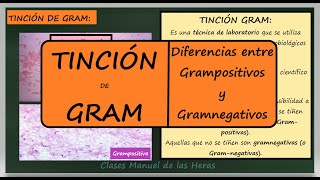 Tinción de Gram Fundamento Diferencias entre Bacterias Grampositivas y Gramnegativas Biología [upl. by Atrice415]