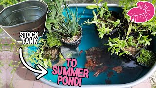 Galvanized Stock Tank to Beautiful Blue DIY Fish Pond Project Walkthrough [upl. by Lura]