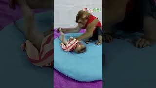 dodo wake newborn up cutenewborn lovelynewborn newbornmonkey clevermonkey [upl. by Nedearb282]