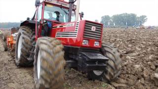 Gara di aratura 2016 stagno lombardo new holland case ih john deere claas [upl. by Jordana]