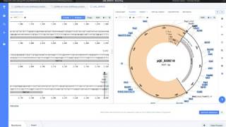 Benchling tutorial Recombinant Vector [upl. by Mroz]