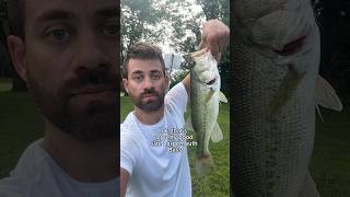 Fishing at Wampum Lake in Illinois 🎣 fishing fishinglife fishingvideo fish fishingtrip [upl. by Iosep873]