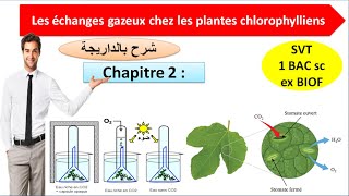 les échanges gazeux chlorophylliens svt 1bac sc ex option français شرح بالداريجة [upl. by Theda]