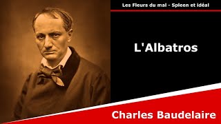 LAlbatros  Les Fleurs du mal  Poésie  Charles Baudelaire [upl. by Nwhas]