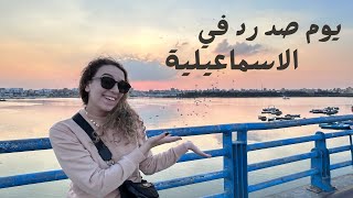 What to do in Ismailia تعمل اية في يوم صد رد في الاسماعلية [upl. by Tawsha421]