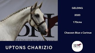 Uptons Charizio Chacoon Blue x Carinue [upl. by Annaoj]