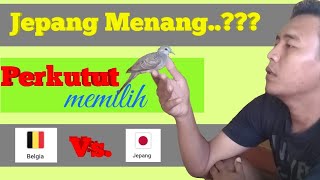 Prediksi Jepang Vs Belgia Oleh Burung Perkutut  Piala Dunia  World Cup Animal Prediction [upl. by Leirad603]