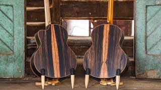 Introducing Macassar Ebony I Lowden Guitars [upl. by Ase]