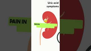 Uric acid symptoms [upl. by Ahsiuqet907]