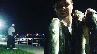 How to fish the St Clair River [upl. by Annel]