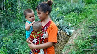 Single mother raising two children alone  Harvest Pineapple Goes to the market sell amp Cooking [upl. by Dupuy]