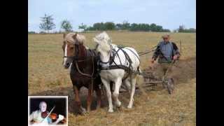 The Handsome Ploughboy [upl. by Einaj]