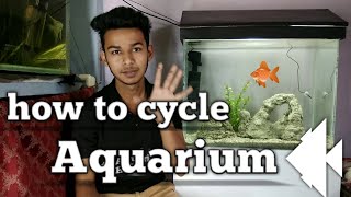 How to cycle aquarium [upl. by Felita369]