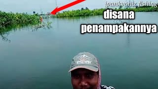 Mancing nyobok serem tapi syahdu  mancing nyobok ikan nila umpan lumut [upl. by Junji]