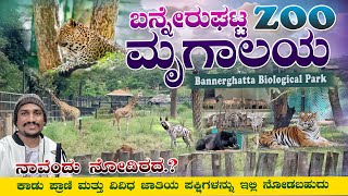 Bannerghatta Zoo Bannerghatta National Park Bangalore Karnataka tourism zoo viralvideo trending [upl. by Eirelam]