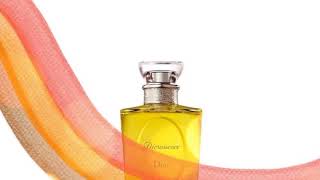 Christian Dior Dioressence 100ml34oz Eau De Toilette Perfume Spray for Women [upl. by Adran326]