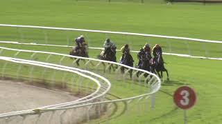 Heat 12 Doomben Jumpouts 2604 [upl. by Rumney]