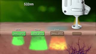 Lutronic DermaV 醫學級血管激光  治療原理及儀器簡介 [upl. by Vil]