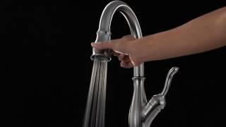 Review of Delta Faucet 9178 AR DST Leland Single Handle Pull Down Kitchen Faucet [upl. by Adnarb]