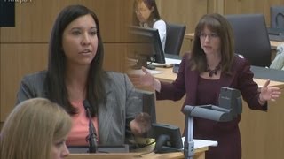 Testy Exchange Between Janeen DeMarte amp Jennifer Willmott on Whether Jodi Arias Was Abused [upl. by Retsevlys]