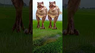 T Rex chest short Jurassic world shortsvideo youtuber jurassicworld dinosaur youtubeshorts [upl. by Oigimer]