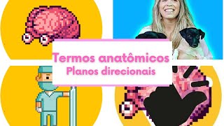 Termos anatômicos e planos direcionais [upl. by Anaidni]