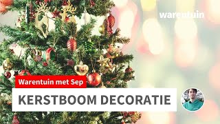 Hoe versier ik mijn kerstboom [upl. by Attennyl]